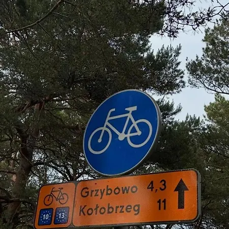 I Morze - Dźwirzyno
